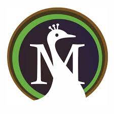 Moreweb Solutions